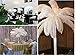 10pcs Natural Ostrich Feather Craft Plume for Wedding Centerpieces Home Decoration (14-16inch, White)