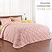 Basic Beyond Down Alternative Comforter Set (Queen, Lemon/Pink) - Reversible Bed Comforter with 2 Pillow Shams for All Seasons