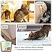 10 Sheets Cat Scratching Deterrent Tape, No Residue Anti Scratch Cat Training Tape for Couch, Removable Double Sided Sticky Adhesive Furniture Protector (Large Size 15.7in X 11.8in)