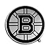 FANMATS 14837 NHL Boston Bruins Chrome Team Emblem , Silver, 3.2