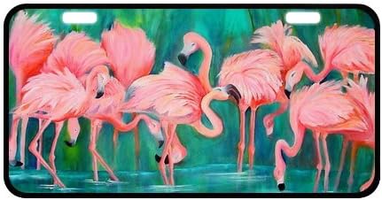 11.8" X 6.1" Durable License plate, Metal personalized car tag, Beautiful Pink Flamingos, Love Flamingos car tag (2 Holes)