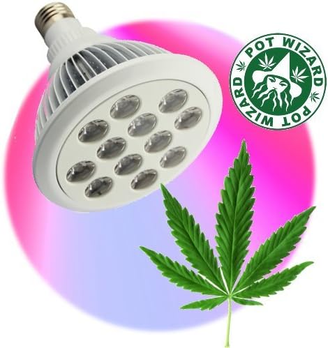 POT WIZARD LED Grow Light for Bigger Stronger and Faster Herbal Harvest. This Light for More Buds
