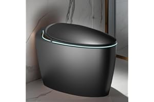 WinZo Modern Egg Shaped Smart Toilet With Bidet Built-in, Auto Flush/Auto Open,Nigh Light LED Screen,Adjusted Heated Seat Warm Air Dryer (Matte Grey)