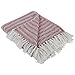 DII Modern Farmhouse Cotton Herringbone Blanket Throw with Fringe for Chair, Couch, Picnic, Camping, Beach, & Everyday Use, 50 x 60 - Barn Red
