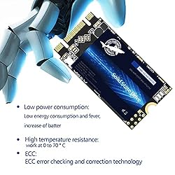 Dogfish SSD SATA M.2 2242 1TB Ngff Internal Solid