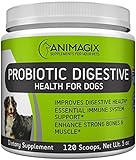 5 Billion Dog Probiotics (5oz) - 12 Strains - Most Potent Formula on the Market for Dogs Digestive & Immune Health Support (141 grams)