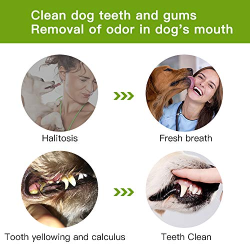 BAYCHEER Dog Toothbrush Natural Silica Gel Material Chew Toys for Tooth Cleaning for Your Dog