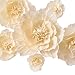 MEJOY Crepe Paper Flowers Decoration for Wall, Flowers for Wedding Decor,Flower Backdrop Decor,Baby Shower,Birthday Party,Photo Backdrop,Archway Decor, Nursery Wall Decor(Beige,Set of 6)