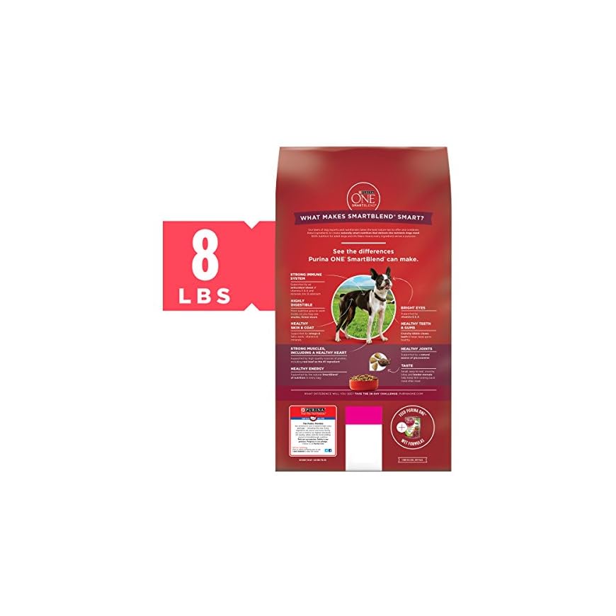 Purina ONE Natural Dry Dog Food; SmartBlend Small Bites ...