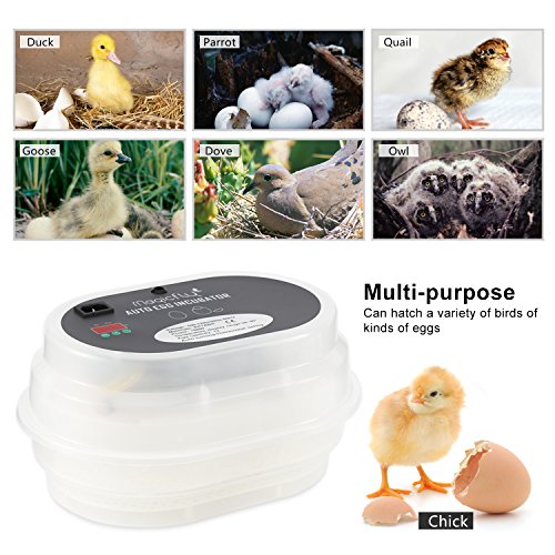 3 Magicfly+Digital+Automatic+Incubator+Chickens