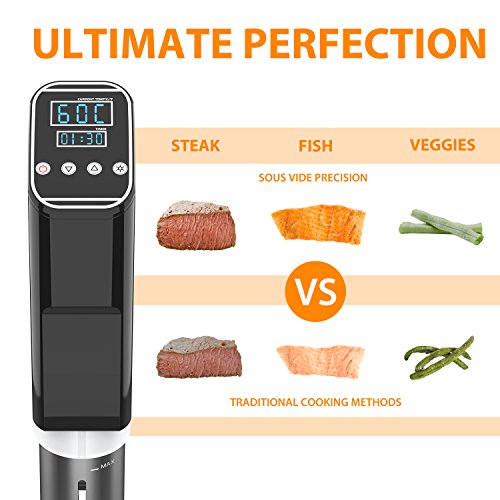 Sous Vide Precision Vacuum Slow Cooker with Thermal Immersion Circulatory Accurate Temperature Digital Timer LED Elegant Display - Thumbnail 3