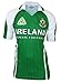 Ireland Sublimated Football jersey Green & White L
