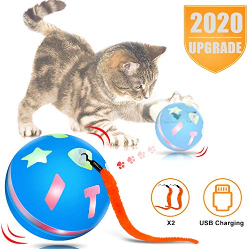 motion ball cat toy