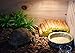 OMEM Reptile Natural Bowl Food and Water Dish Resin Made (Tree bark)