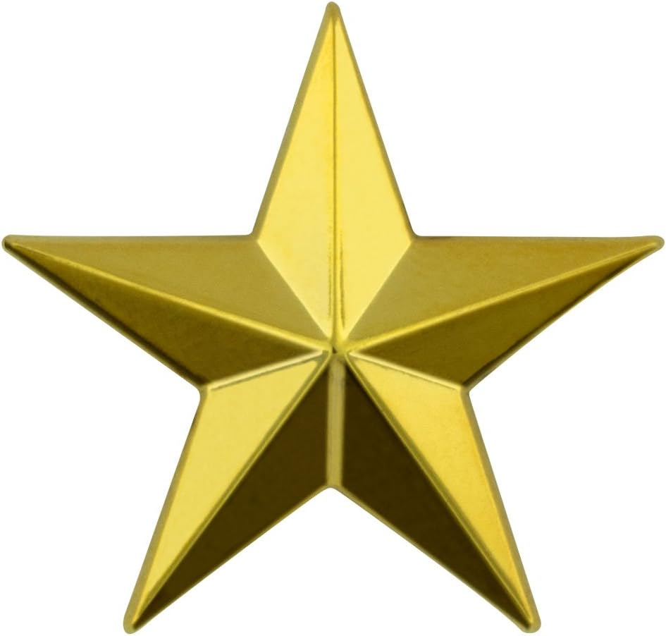 PinMart Military 3D 5 Point Gold Star Lapel Pin