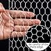 2 Sheets Chicken Wire Net for Craft Work, Galvanized Hexagonal Wire Mesh (13.7 x 40 Inches, Sliver)