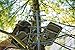 20' Gravity Forward Climbing Stick
