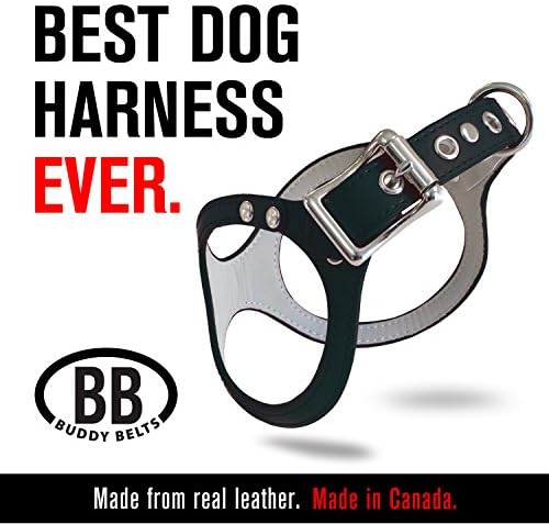 Buddy Belts Classic Collection Pet Harness, Black, Size 1