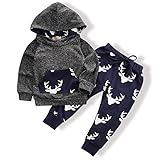 Toddler Infant Baby Boys Deer Long Sleeve Hoodie Tops Sweatsuit Pants Outfit Set