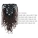 Sassina Thickness Double Wefts Clip In Extensions For African American Black Women Kinky Curly 3C 4A 1B Off Black Fading into Light Chocolate Brown 7 Pieces-Set 17 Clips KC 1BT4 16 Inch