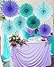 Mermaid Birthday Decorations Girl Wonderland Frozen Party Mermaid Baby Shower Decorations Aqua Blue Teal Purple Tissue Paper Fan/Summer Party/Tropical Party/Under The Sea Party