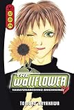 The Wallflower 22/23/24 by 