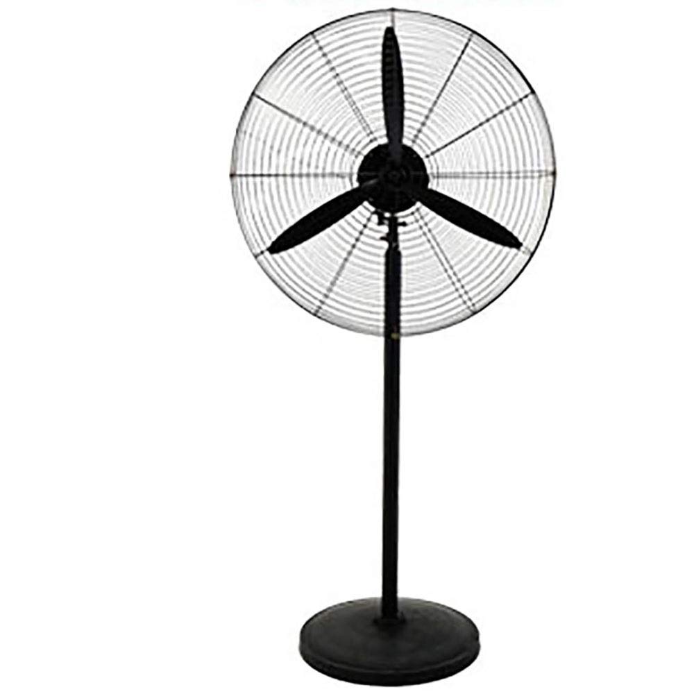 Amazon Com Hai Yan Boutique Electric Fan Floor Fan Industrial