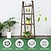 Giantex 4-Tier Folding Flower Stand Wood Rack Plant Storage Display Shelf (18″X18.5″X60″(4-Tier))thumb 3