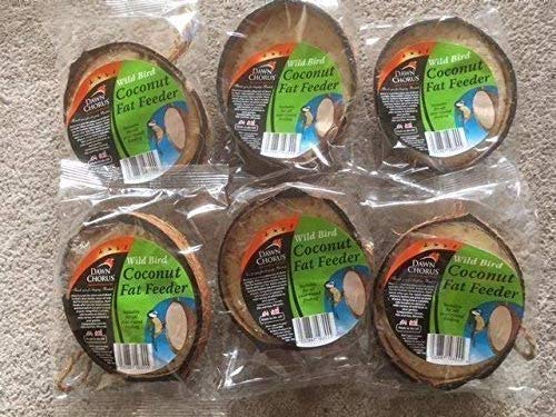 Suet Filled Half Coconuts for Wild Birds - Insect Flavour (Pack of 6)