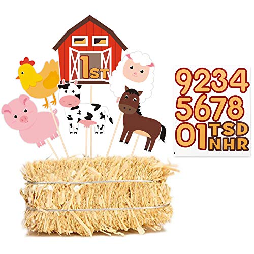1 Birthday+Centerpiece+Animals+Decorations+Barnyard