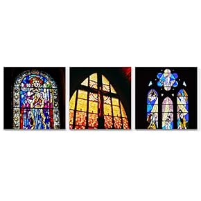 3 Panel Canvas Wall Art Beautiful Butterfly Pictures Home Wall Decorations for Bedroom Living Room Paintings Canvas Prints Framed - 12"x12"x3 Panels