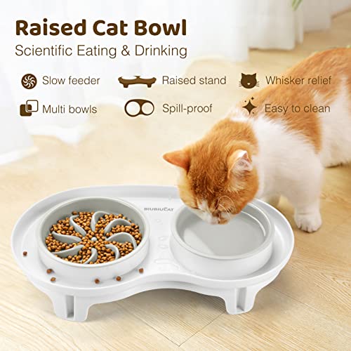 Elevated Cat Slow Feeder Bowl AntiVomiting Bloat Stop Raised Food