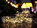6 Pack Solar Jar Lids for Mason Jars with 20 LED Fairy String Lights(Jars & Handles Not Included), Fit for Patio, Yard, Garden, Party, Wedding, Christmas Decor (6, Warm White-20LED)