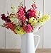 David's Garden Seeds Flower Snapdragon Madame Butterfly D1930RUP 50 Hybrid Seeds