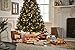 American Greetings 120 sq. ft. Reversible Christmas Wrapping Paper Bundle, Stripes, Polka Dots, Plaid, Reindeer, Trucks and Trees (4 Rolls 30 in. x 12 ft.)