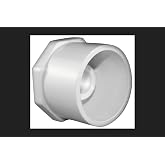 Charlotte Pipe Reducing Bushing 2" X 1/2" White PVC Schedule 40