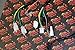 Vito's Performance New Yamaha Banshee Wiring Harness Complete OEM Replacement 1997-2001