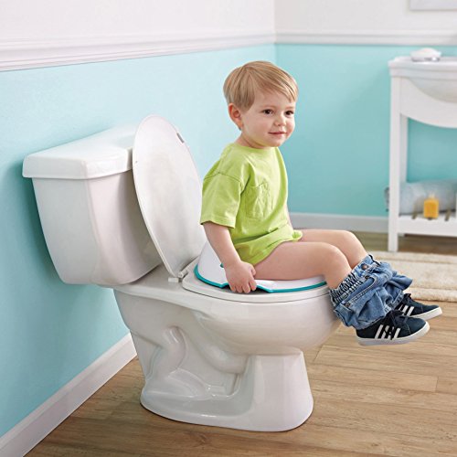 FisherPrice Perfect Fit Potty Ring Pricepulse