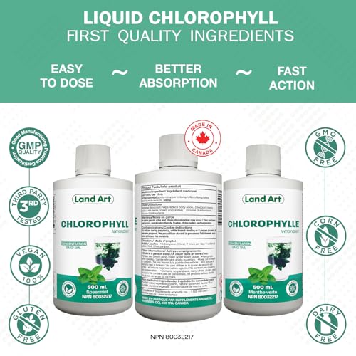 Liquid Chlorophyll Mint - Cold Extracted from Non-GMO Alfalfa - Clorofila - Detox Cleanse - Alkalization & Antioxidant Support - Vegan - Gluten Free - Made in Canada - 500 ml Bottle