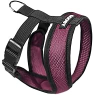 Gooby - Comfort X Head-in Harness, Choke Free Small Dog Harness with Micro Suede Trimming and Patented X Frame, Purple, X-Large