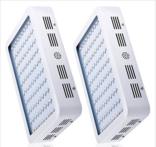 GOWE 2pcs 300W Full Spectrum LED Grow light White Panel For Medical Flower Plants Vegetative and Flowering Stage Plants LED Light