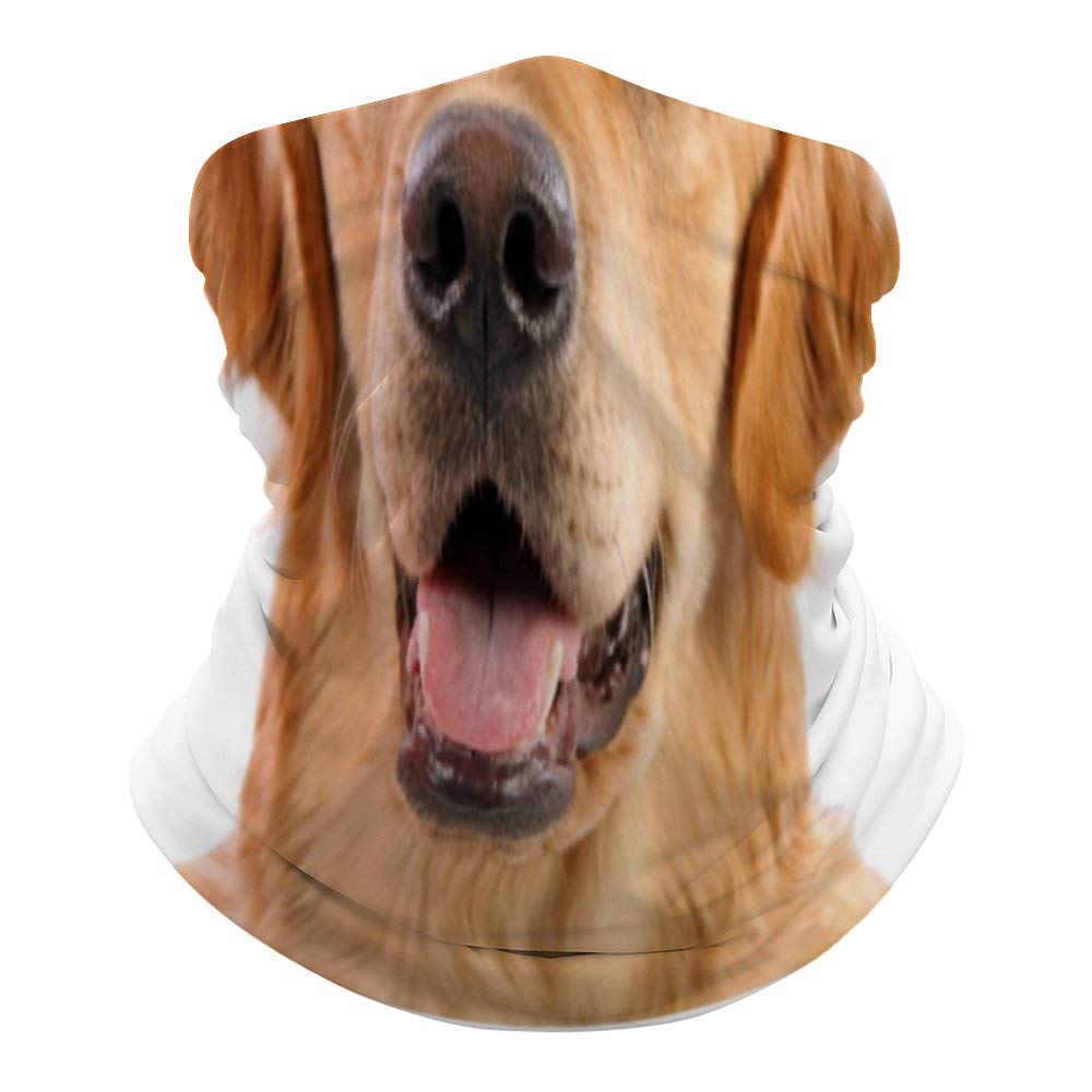 Dog Face Scarf Face Mouth Cover Golden Retriever Scarf Hat Shield Magic Headband Neck Gaiter for Dust- Sun- Windproof Outdoor 19.6"L x 9.8"W lj2fkn4tgqeq