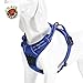 Chai's Choice Dog Harness Vest Large (Royal Blue) | Comfortable & Secure with Adjustable Strap Soft Padded Dog Vest | No-Choke & Easy Control Pet Oxford | 3M Reflective Stripes for Dog Visibility
