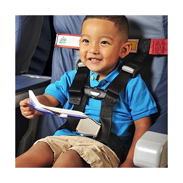 cares restraint device