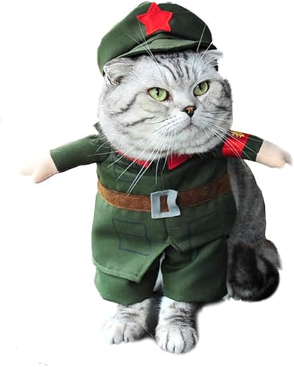 Zcy Chien Chat Vêtements Les Costumes Marrant Chiot Vêtement