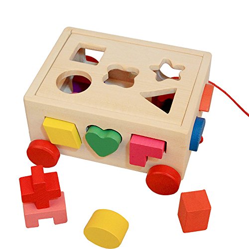 Kanzd Kids Baby Wooden Learning Geometry Educational Toys Puzzle 3D IQ Puzzle for Kids (A)
