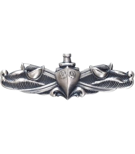 US Navy Jolly Roger Challenge Coin