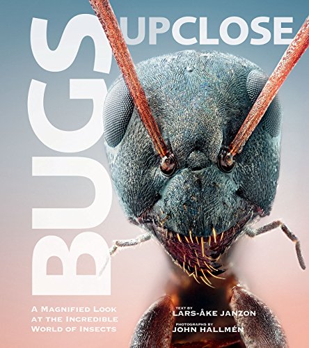 Bugs Up Close: A Magnified Look at the Incredible World of Insects by 