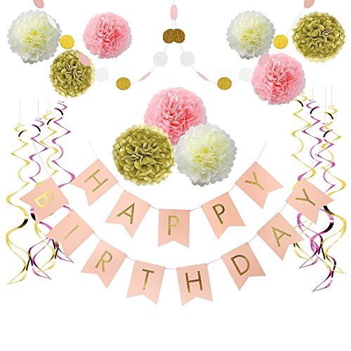 Litaus Pink And Gold Birthday Decorations Pom Poms Flowers Kit