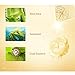 10 PC RGY Facial Silk Mask Moisturizing Facial Sheet Mask Box of 10pcs (Gold/Silver) (silver)